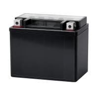 Motociklų baterijos (29)