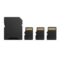 Atminties kortelės (17)