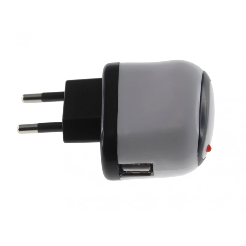 10W USB maitinimo adapteris iPad iPad 2, suderinamas su iPod ir iPhone