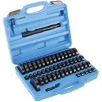 Universalus guolių ir įvorių išėmimo ir montavimo rinkinys 52 vnt.